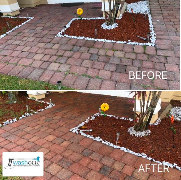 Washolic Pressure Washing & Cleaning Solutions